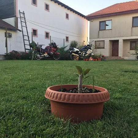 Guest house Casa Noastra Vama Veche