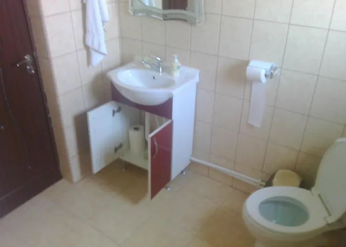 Guest house Casa Noastra 3*